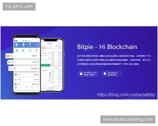壹号钱包专业版的核心功能解析及其在数字货币领域的应用前景